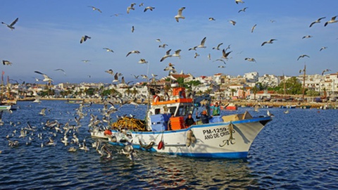Foto&nbsp;PJ photography / Shutterstock.com