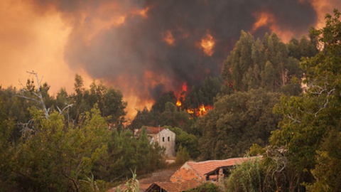 Portugal Em Alerta Devido Ao Risco De Incendio Dnoticias Pt