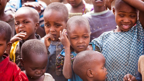 Foto Anya Newrcha/Shutterstock.com