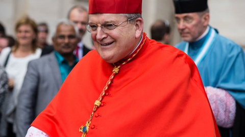 Foto&nbsp;PIGAMA / Shutterstock.com