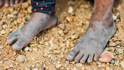 Foto&nbsp;Nelson Bastidas/Shutterstock.com