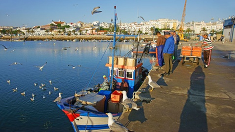 Foto&nbsp;PJ photography / Shutterstock.com