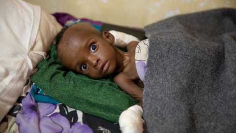 Foto&nbsp;Amors photos/Shutterstock.com