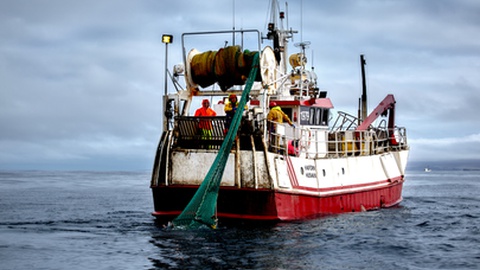 Foto&nbsp;J_K/Shutterstock.com