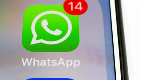 Foto&nbsp;Gabriel Ramos / Shutterstock.com