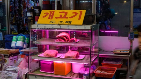 Foto&nbsp; hyotographics / Shutterstock.com