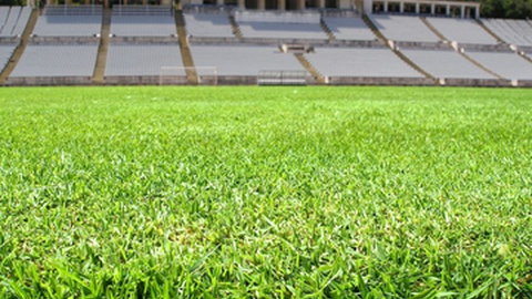 Todos ambicionam chegar aqui, ao Jamor.&nbsp; &nbsp;Foto Shutterstock