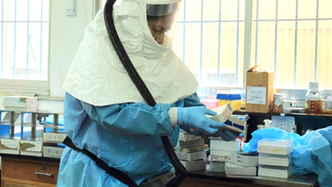 Foto Shutterstock/Edgloris Marys