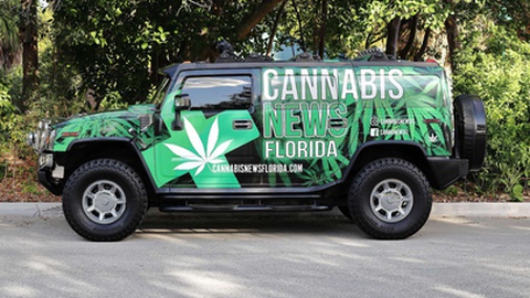 Foto&nbsp;Microfile.org / Shutterstock.com