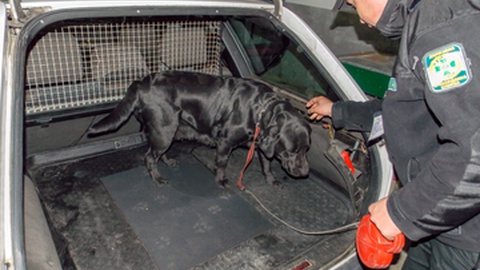 Foto&nbsp;Ivan Semenovych/Shutterstock.com