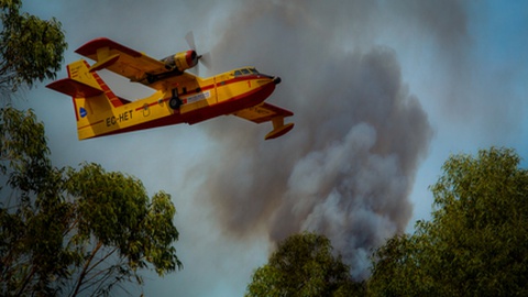 Foto&nbsp;Socialtruant/Shutterstock.com