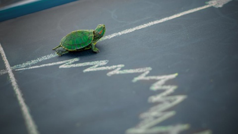 Os preços já não estão tão altos, mas diminuem lentamente.&nbsp; &nbsp;Foto Shutterstock