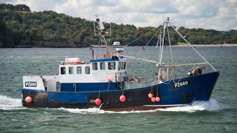 Foto Billy Watkins/Shutterstock.com