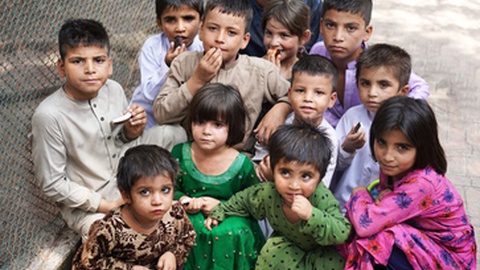 Foto&nbsp;Selcuk Oner / Shutterstock.com