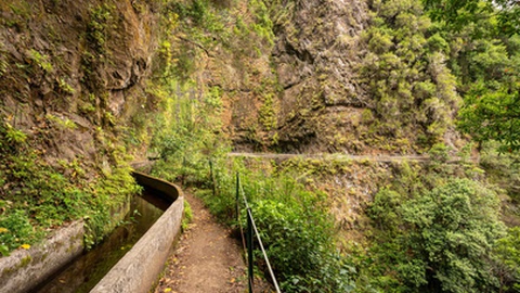A levada da Fajã do Rodrigues situa-se no concelho de São Vicente, na zona das Ginjas.&nbsp;