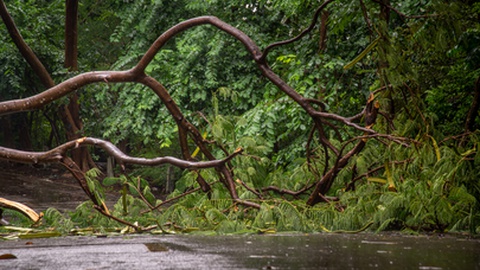 Foto ilustrativa/Shutterstock