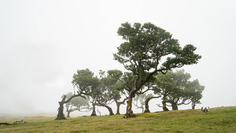 Foto&nbsp;Ingrid Pakats/Shutterstock