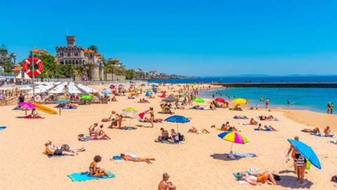 Foto&nbsp; trabantos / Shutterstock.com