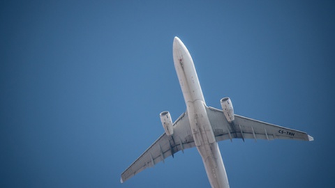 Foto Joseph Creamer/Shutterstock.com
