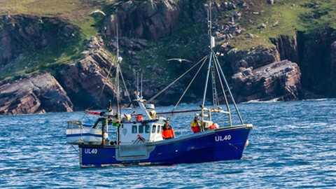 Foto&nbsp;Anne Coatesy / Shutterstock.com