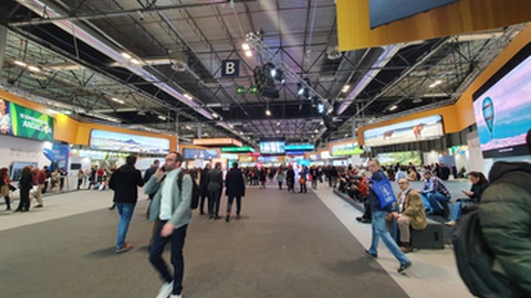 Foto&nbsp; FOTOADICTA/Shutterstock.com