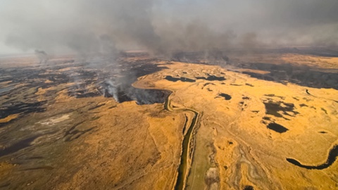 As tundras russas são um dos ecossistemas mais frágeis do Planeta.&nbsp; Foto Shutterstock