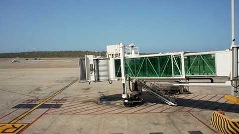 Foto&nbsp;JohannaWallace/Shutterstock.com