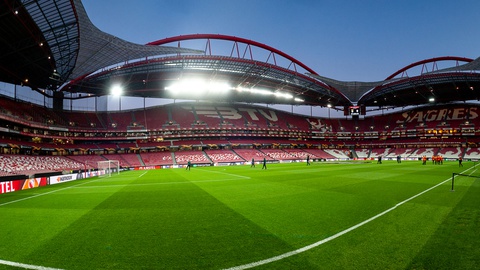 Foto&nbsp;Vitalii Vitleo/Shutterstock.com