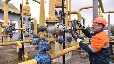 Foto&nbsp; Mykola Tys/Shutterstock.com