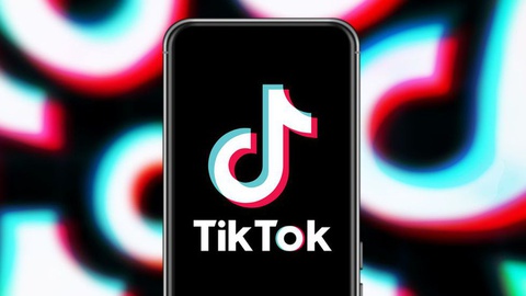 Falja de sol leon｜TikTok Search