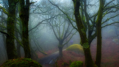 Paredes de Coura
