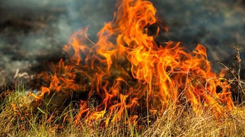 Foto ilustrativa/Shutterstock