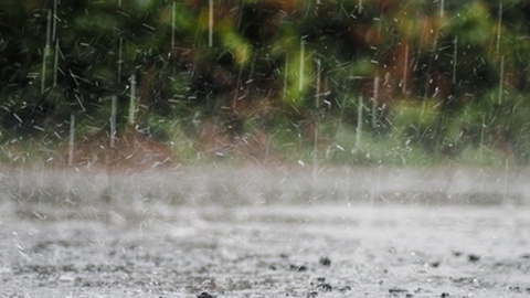 IPMA prevê chuva, em especial, a partir da tarde para a Madeira