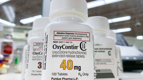 Foto&nbsp;PureRadiancePhoto / Shutterstock.com