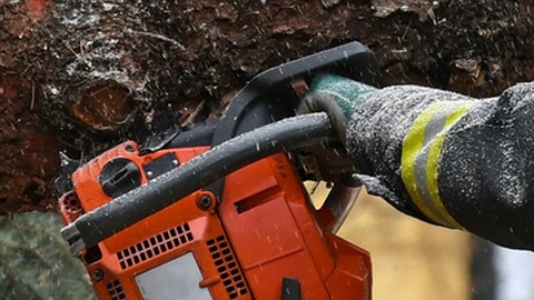 Foto ilustrativa/Shutterstock