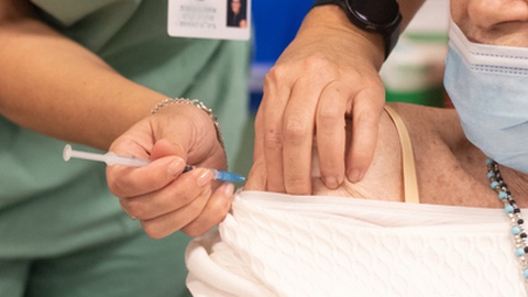 Foto&nbsp;vered sh/Shutterstock.com