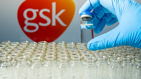 Foto&nbsp; Golden Shrimp/Shutterstock.com