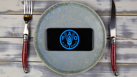 Foto&nbsp;Ralf Liebhold/Shutterstock.com