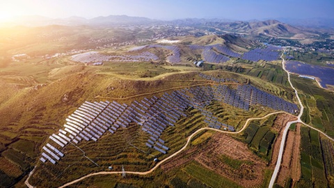 Campos de painéis solares em Portugal.&nbsp; &nbsp;Foto Shutterstock
