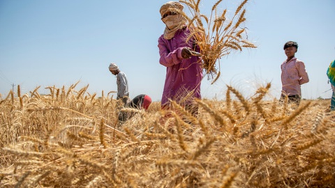 Foto&nbsp;PradeepGaurs/Shutterstock.com