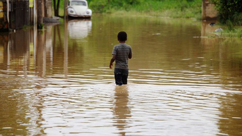 Foto&nbsp;Nelson Antoine/Shutterstock.com