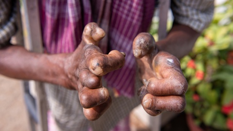 Foto&nbsp;PradeepGaurs/Shutterstock.com