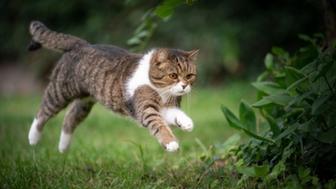 Foto ilustrativa/Shutterstock