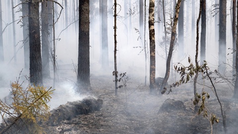 Foto ilustrativa/Shutterstock