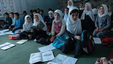 Foto&nbsp;solmaz daryani / Shutterstock.com