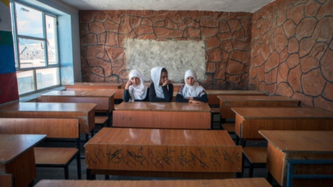 Foto Solmaz Daryani/Shutterstock.com