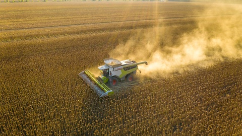 Foto Artem Grebenyuk/Shutterstock.com