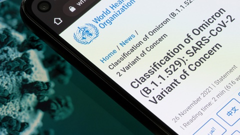 Foto&nbsp;Tada Images/Shutterstock.com