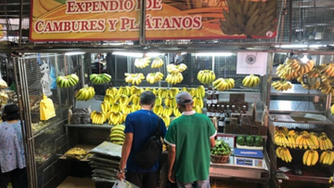 Foto&nbsp;Edgloris Marys / Shutterstock.com