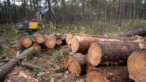 Foto&nbsp;homydesign/Shutterstock.com